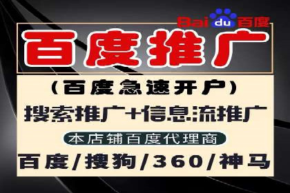 SEM代运营服务公司案例分析：数据驱动营销策略